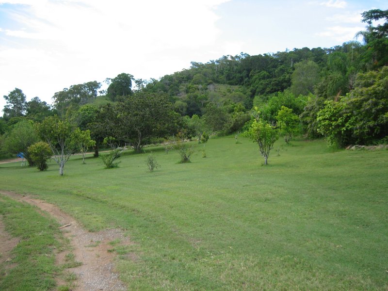 Photo - 390 Spring Valley Road, West Stowe QLD 4680 - Image 26