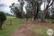 Photo - 3900 Tumbarumba Road, Tumbarumba NSW 2653 - Image 5