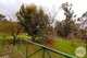 Photo - 3900 Tumbarumba Road, Tumbarumba NSW 2653 - Image 12