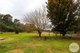 Photo - 3900 Tumbarumba Road, Tumbarumba NSW 2653 - Image 15