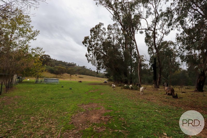 Photo - 3900 Tumbarumba Road, Tumbarumba NSW 2653 - Image 17