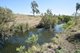 Photo - 391 Kangaroo Creek Road, Harlin QLD 4314 - Image 5