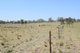 Photo - 391 Kangaroo Creek Road, Harlin QLD 4314 - Image 6