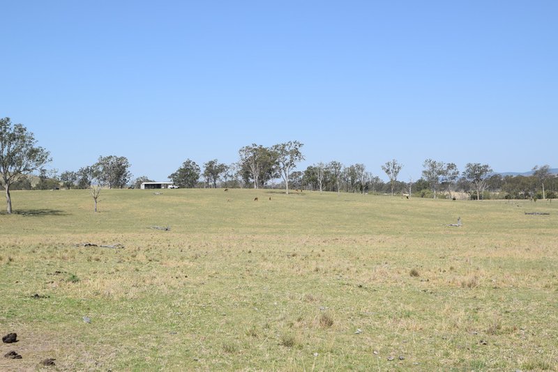 Photo - 391 Kangaroo Creek Road, Harlin QLD 4314 - Image 12