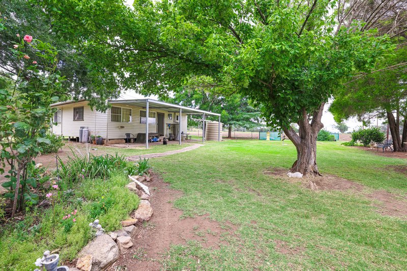 Photo - 391 Spains Lane, Quirindi NSW 2343 - Image 8