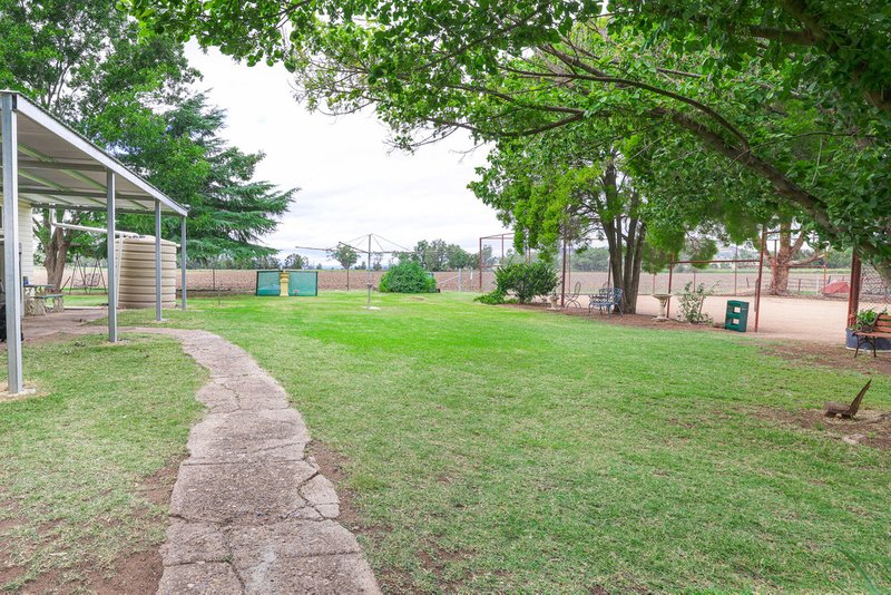 Photo - 391 Spains Lane, Quirindi NSW 2343 - Image 9