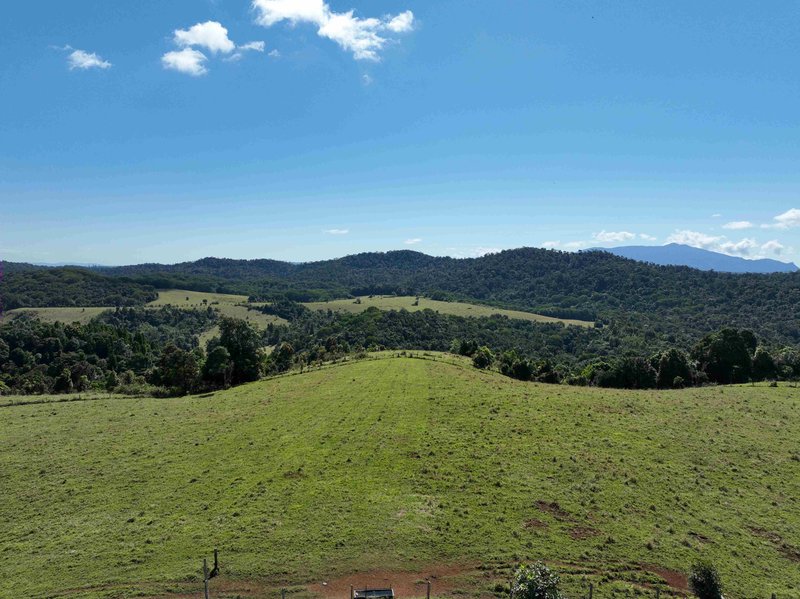 Photo - 391 Watson Road, Ellinjaa QLD 4886 - Image 4