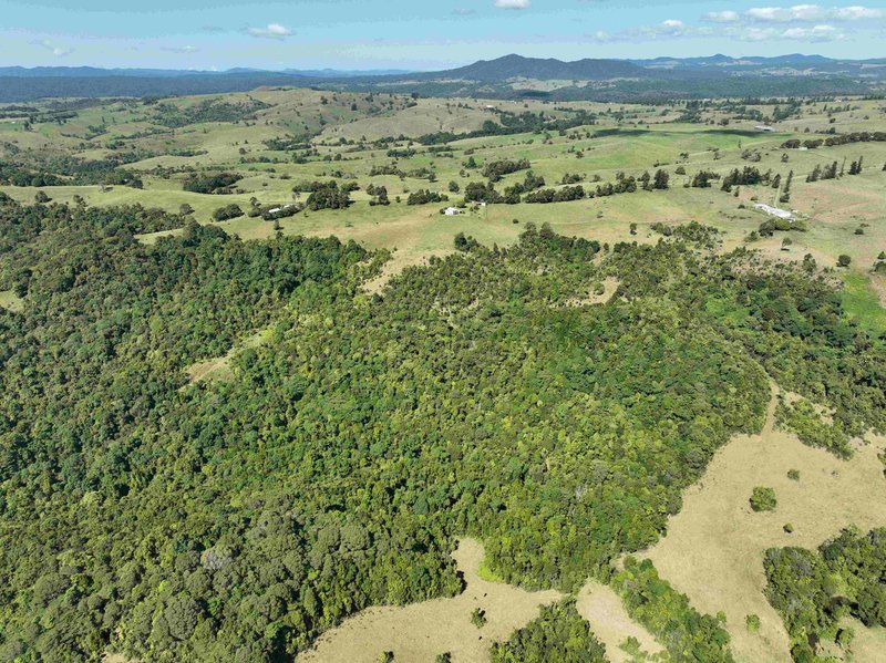 Photo - 391 Watson Road, Ellinjaa QLD 4886 - Image 5