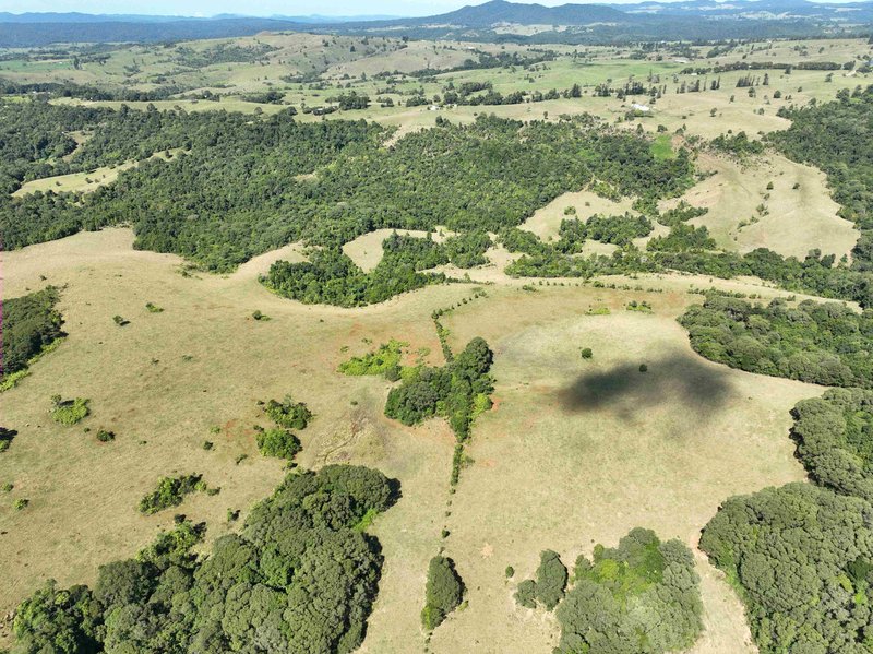 Photo - 391 Watson Road, Ellinjaa QLD 4886 - Image 6
