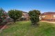 Photo - 392 Clayton Road, Clayton South VIC 3169 - Image 24