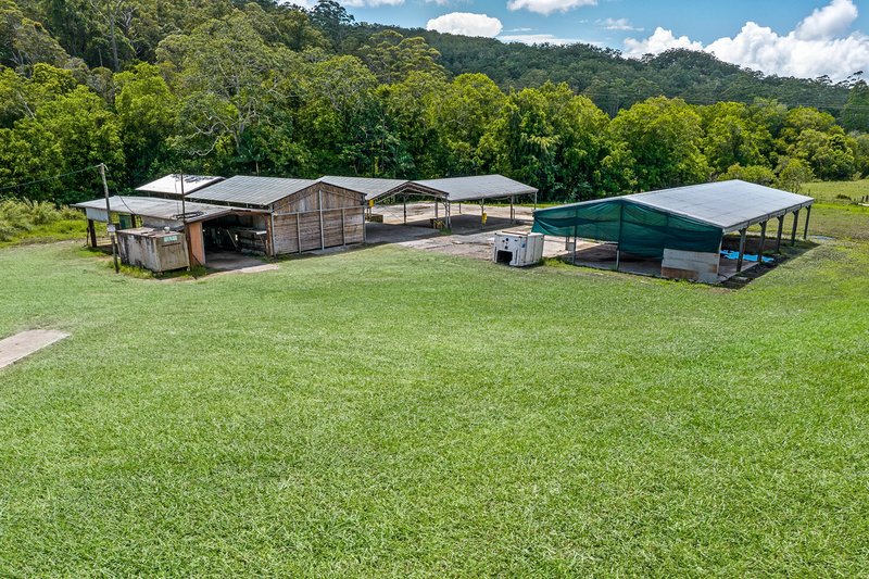 Photo - 392 Diamond Valley Road, Diamond Valley QLD 4553 - Image 3