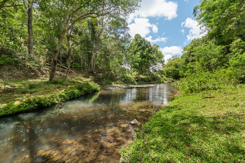 Photo - 392 Diamond Valley Road, Diamond Valley QLD 4553 - Image 16