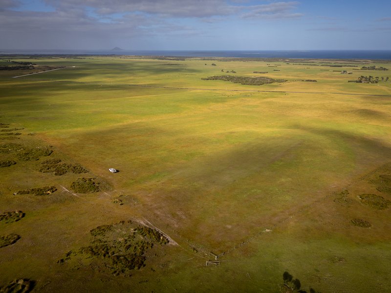 Photo - 392 Lady Barron Road, Ranga TAS 7255 - Image 32