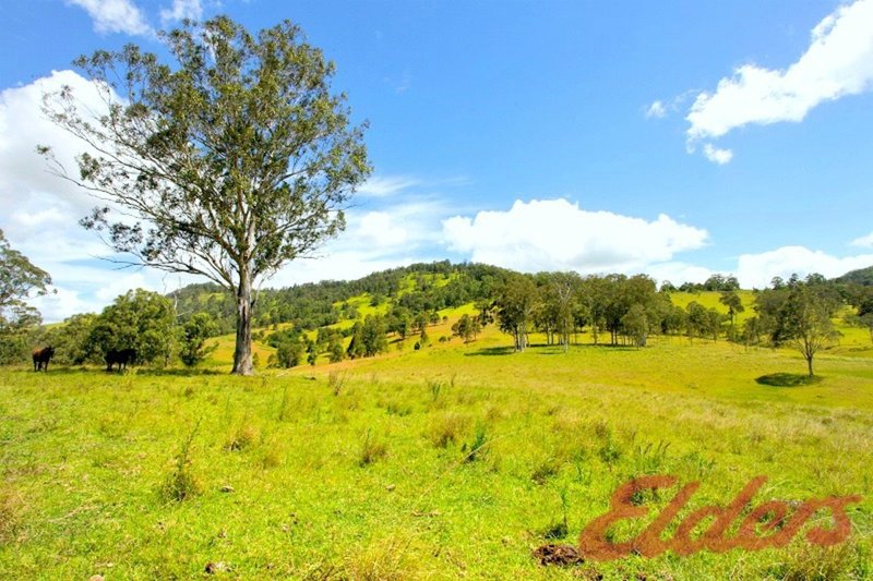 Photo - 392 Mograni Creek Road, Gloucester NSW 2422 - Image 16