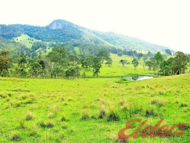 Photo - 392 Mograni Creek Road, Gloucester NSW 2422 - Image 18