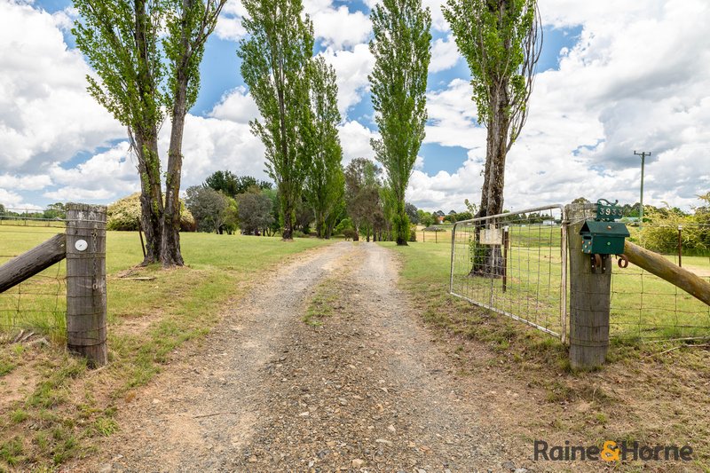 Photo - 3933 Thunderbolts Way, Uralla NSW 2358 - Image 2