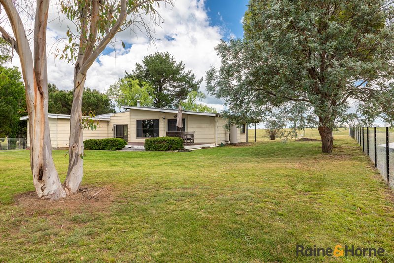 Photo - 3933 Thunderbolts Way, Uralla NSW 2358 - Image 13