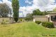 Photo - 3933 Thunderbolts Way, Uralla NSW 2358 - Image 14