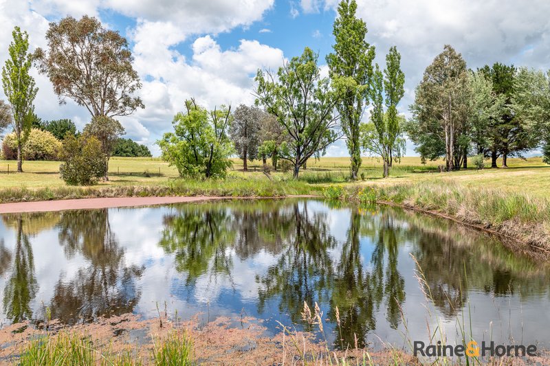 Photo - 3933 Thunderbolts Way, Uralla NSW 2358 - Image 17