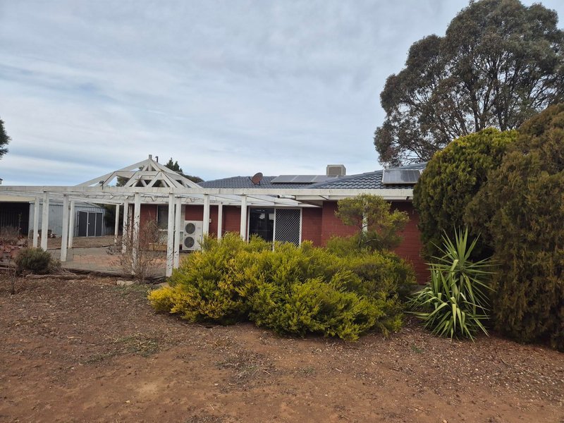 Photo - 394 Humphrey Road, Reeves Plains SA 5502 - Image 20