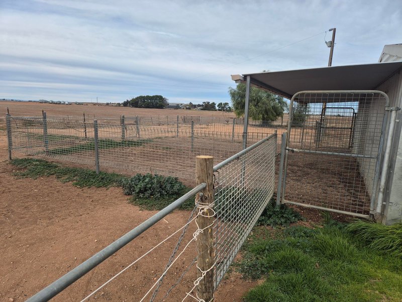 Photo - 394 Humphrey Road, Reeves Plains SA 5502 - Image 24