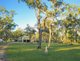 Photo - 394 Murphy Road, Captain Creek QLD 4677 - Image 3