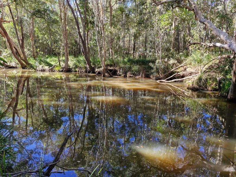 Photo - 394 Murphy Road, Captain Creek QLD 4677 - Image 12