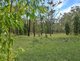 Photo - 394 Murphy Road, Captain Creek QLD 4677 - Image 14