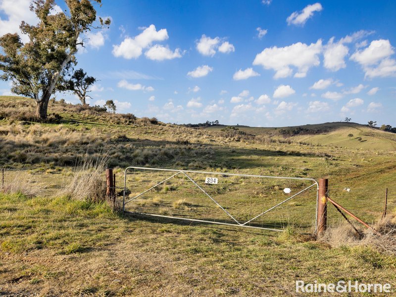 Photo - 394 Swallows Nest Road, Mount David NSW 2795 - Image 5