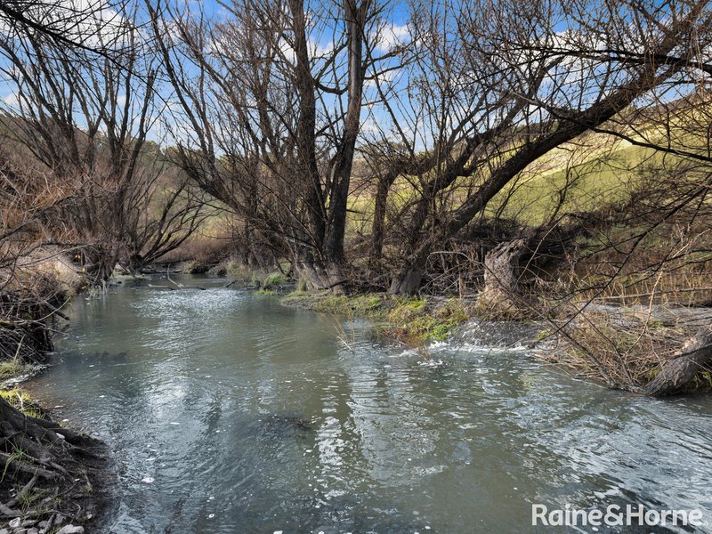 Photo - 394 Swallows Nest Road, Mount David NSW 2795 - Image 8