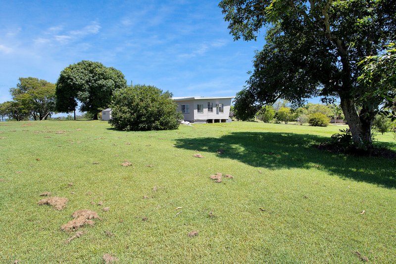 Photo - 3945 Mackay Eungella Rd , Gargett QLD 4741 - Image 22