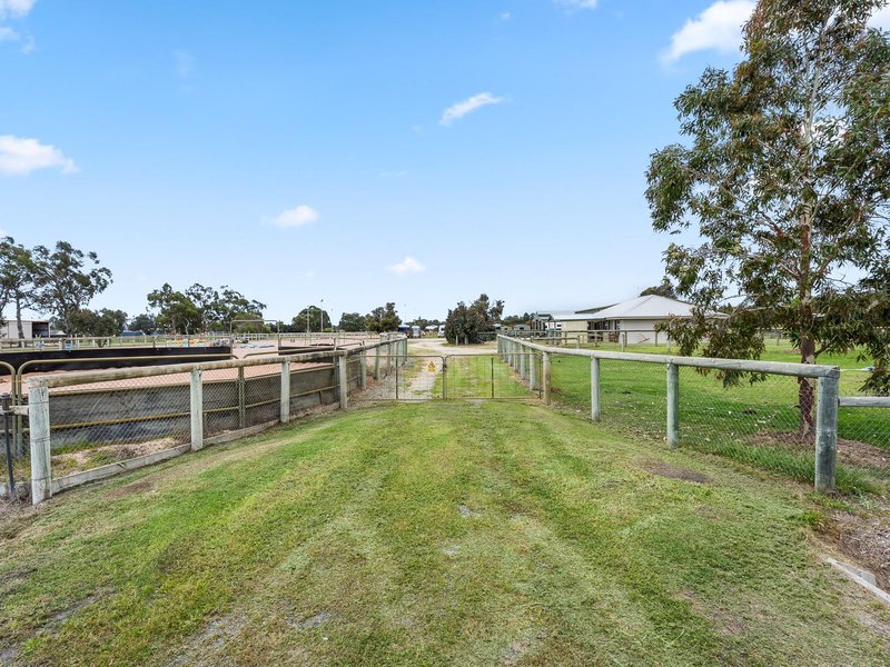 Photo - 395 Taylor Road, Forrestdale WA 6112 - Image 29