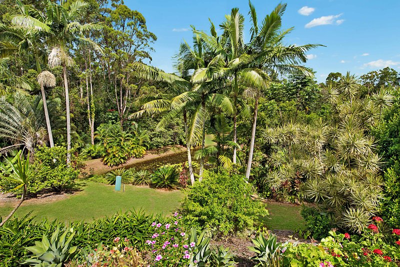 Photo - 396 Ilkley Road, Ilkley QLD 4554 - Image 12