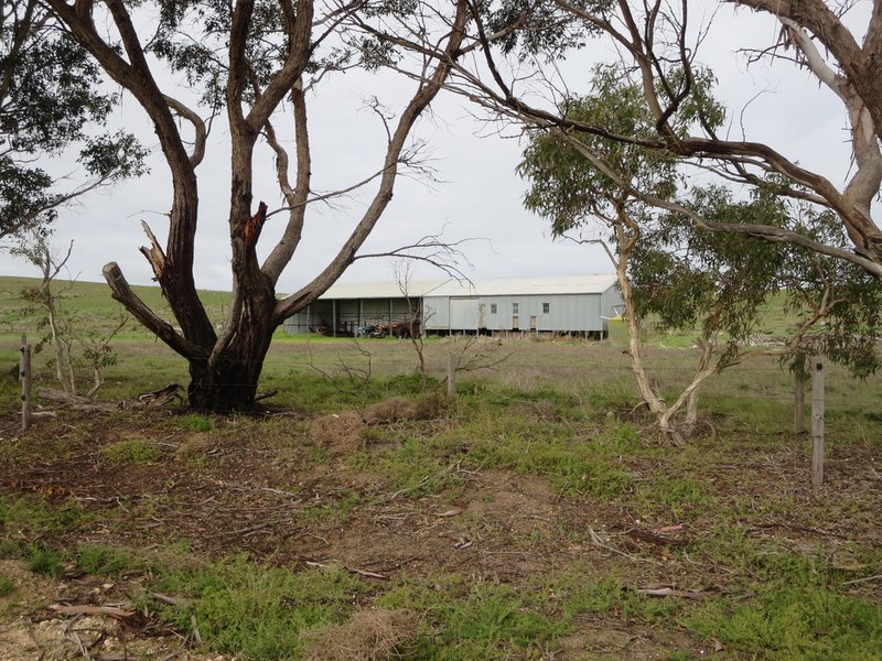 Photo - 396 Waltowa Road, Meningie SA 5264 - Image 10