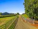 Photo - 397 Duncan Road, Numulgi NSW 2480 - Image 23