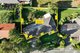 Photo - 3/978 Mountain Highway, Boronia VIC 3155 - Image 2