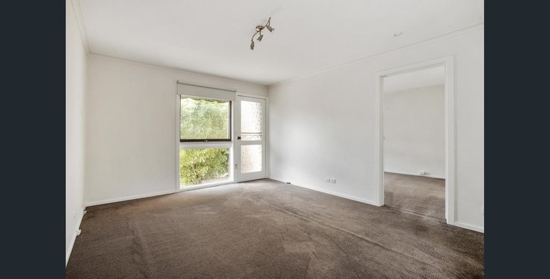 Photo - 3/98 Mt Dandenong Road, Ringwood East VIC 3135 - Image 5
