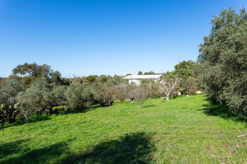 Photo - 399 Browns Road, Rye VIC 3941 - Image 5