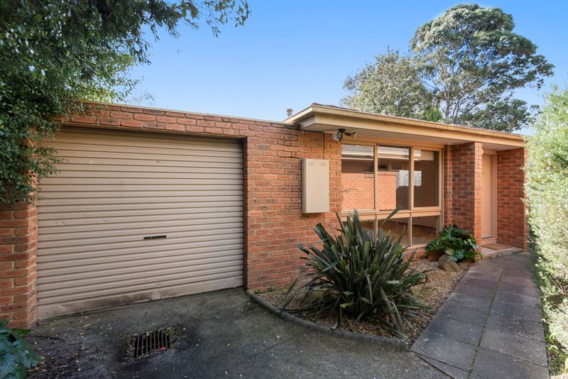 3/99 Esdale Street, Nunawading VIC 3131