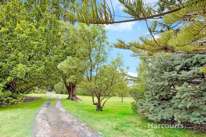 Photo - 399 Penguin Road, West Ulverstone TAS 7315 - Image 13