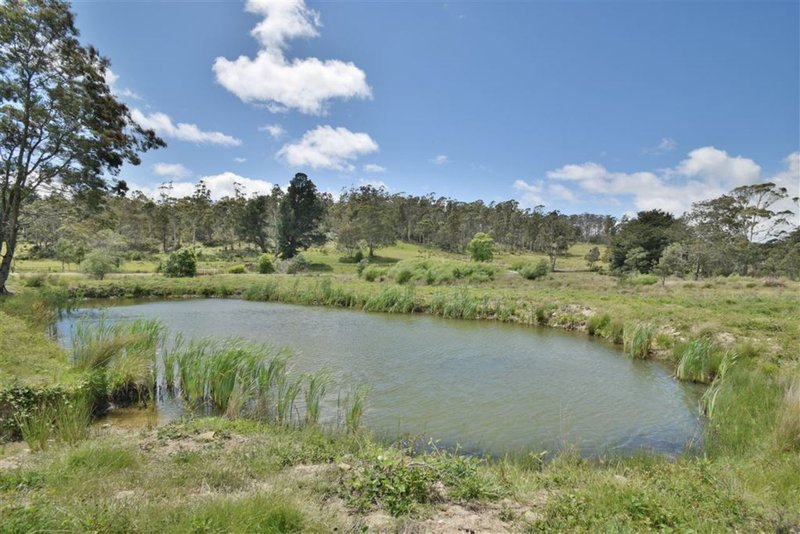 Photo - 399 Priestleys Lane, Birralee TAS 7303 - Image 19