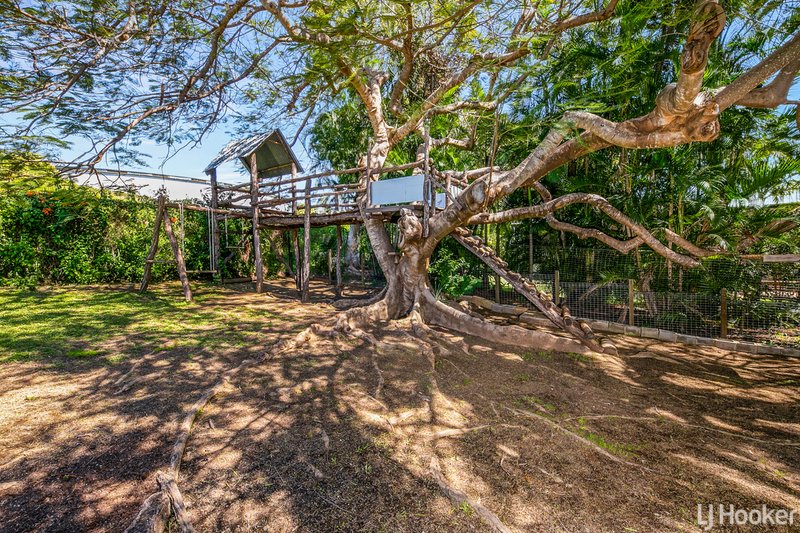 Photo - 399 Thozet Road, Frenchville QLD 4701 - Image 5