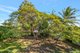 Photo - 399 Thozet Road, Frenchville QLD 4701 - Image 18