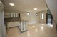 Photo - 3A Forsyth Street, Belmore NSW 2192 - Image 2