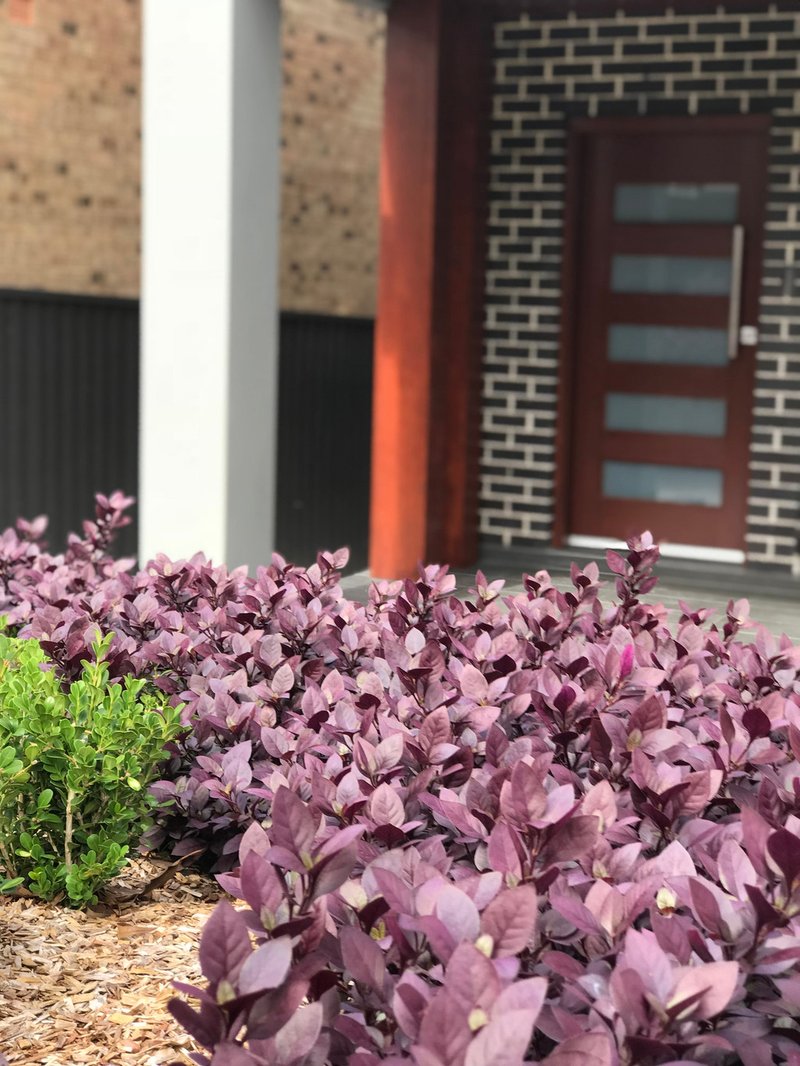 Photo - 3A Frederick Street, Bankstown NSW 2200 - Image 9