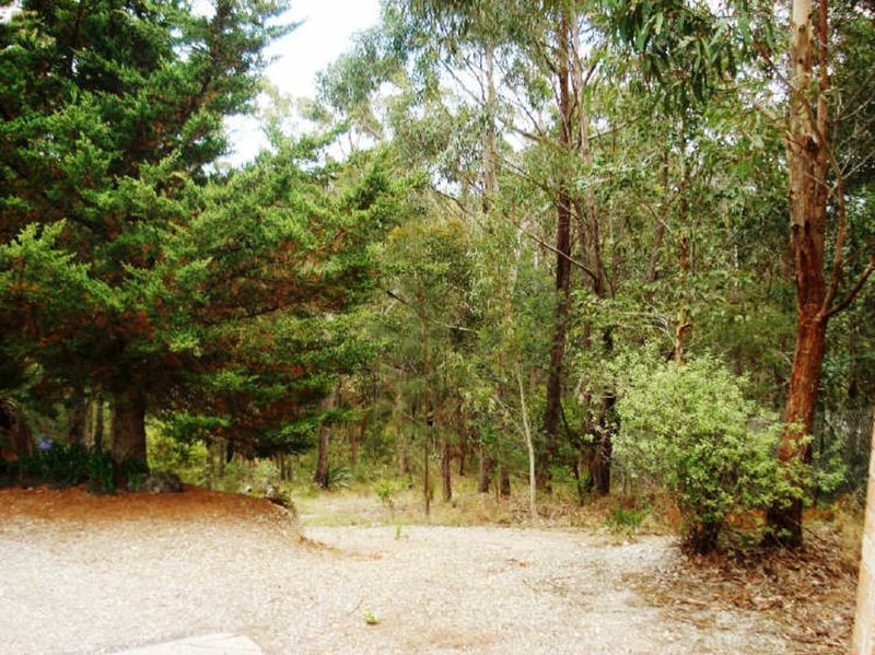 Photo - 3a Innes Grove, Rosedale NSW 2536 - Image 3