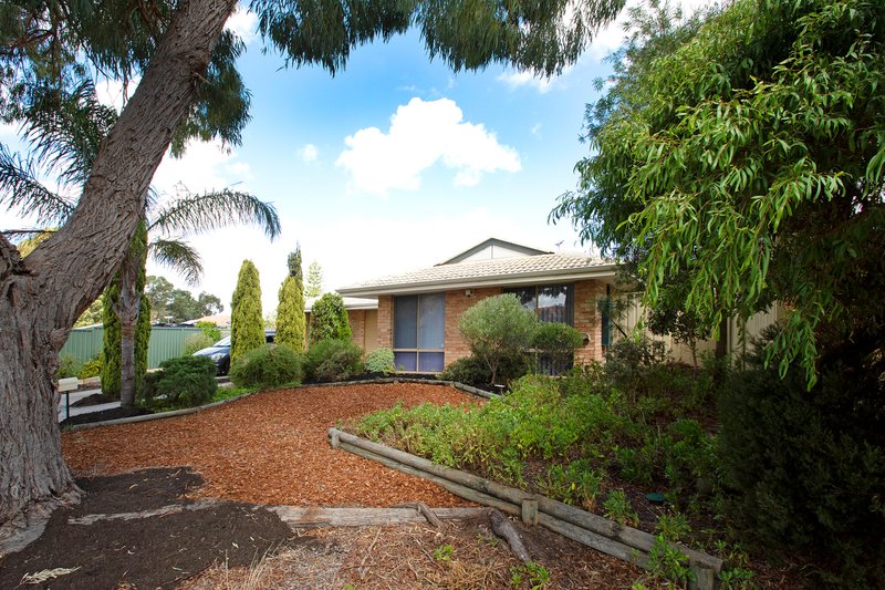 Photo - 3A Whitcombe Way, Alexander Heights WA 6064 - Image 3