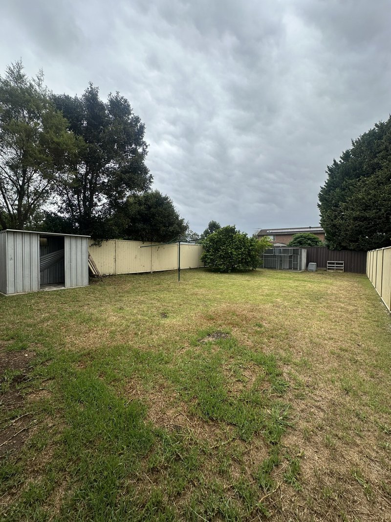 Photo - 3B Campbell Street, Thirlmere NSW 2572 - Image 6