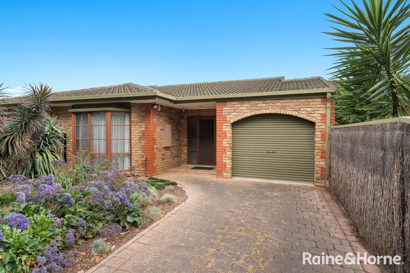 3B Hereford Avenue, Trinity Gardens SA 5068