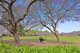 Photo - 3F/172 Oxlade Drive, New Farm QLD 4005 - Image 23